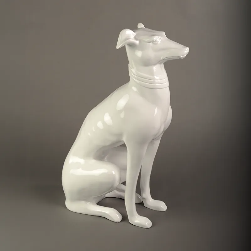 Chó săn thỏ trắng