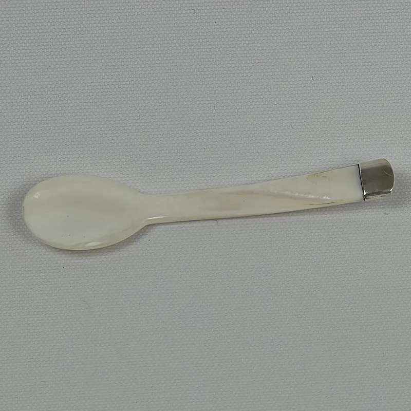 Muỗng trai đuôi bọc bạc