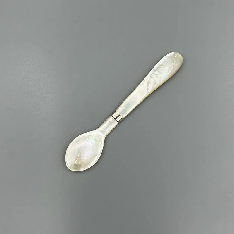 Muỗng ốc xác bọc bạc