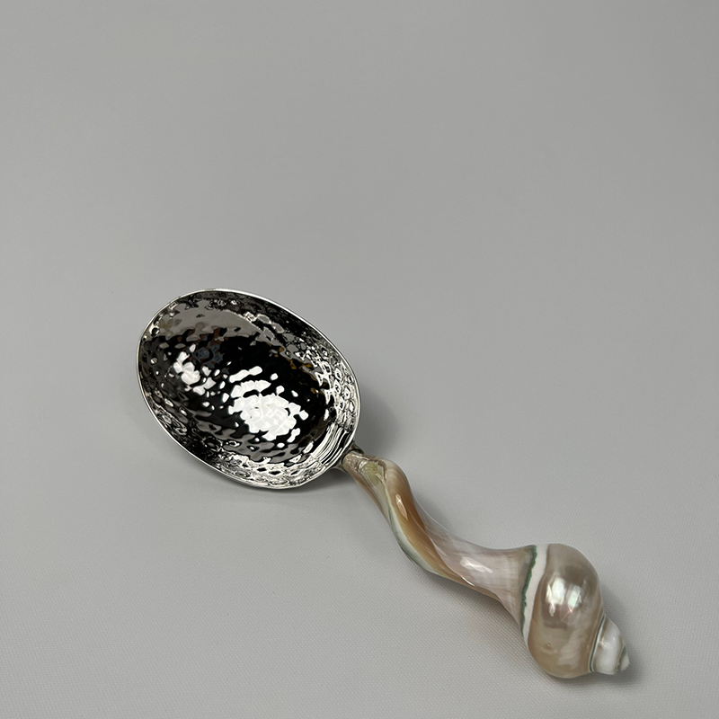INOX OVAL SPOON LUMACA HANDLE