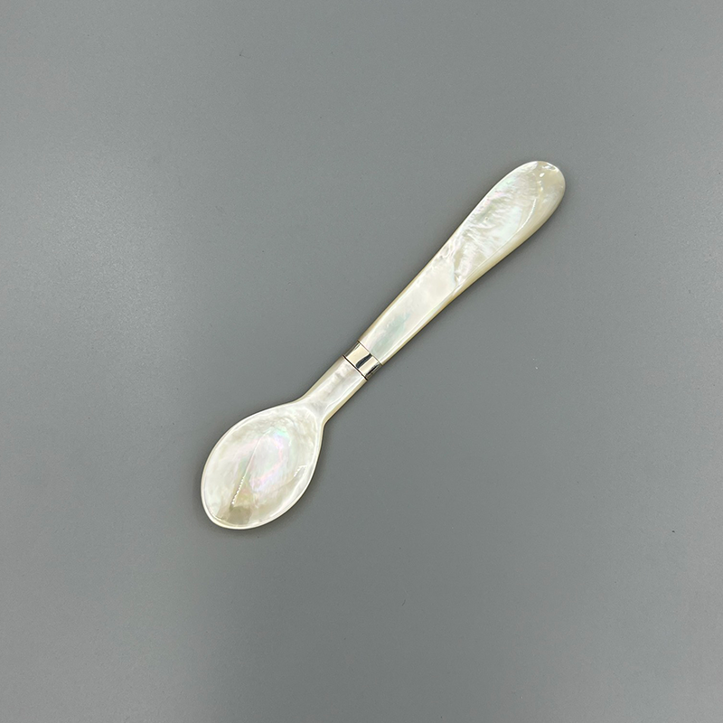 SPOON SALTWATER SILVER COVER