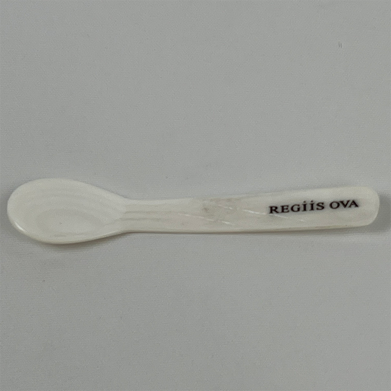 12 CM SPOON SOFTWATER CUSTOM LOGO 