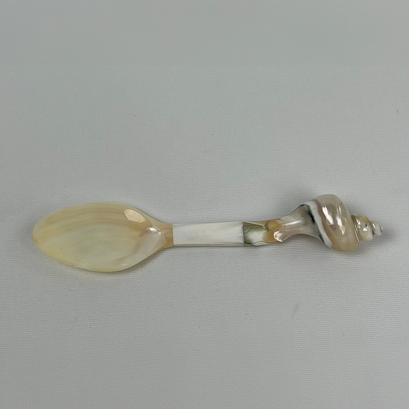 SPOON SOFTWATER MOP FOOT