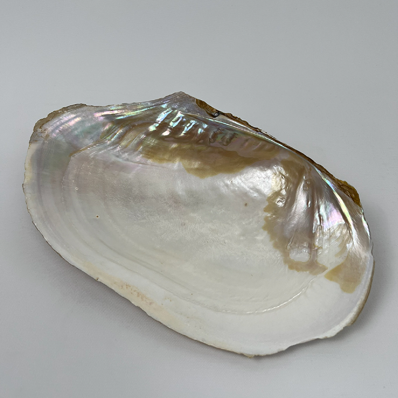 HALF GRINDING PEARL PLATE