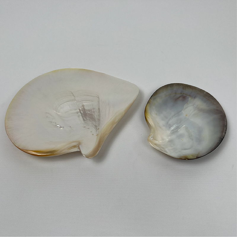 HALF GRINDING MOP PLATE 16-20CM